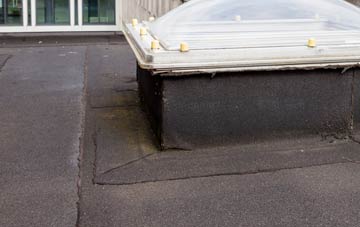 disadvantages of Burlorne Tregoose flat roofs