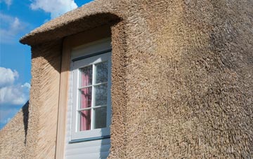 Burlorne Tregoose thatch roof disadvantages