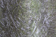 Burlorne Tregoose fibreglass roof work